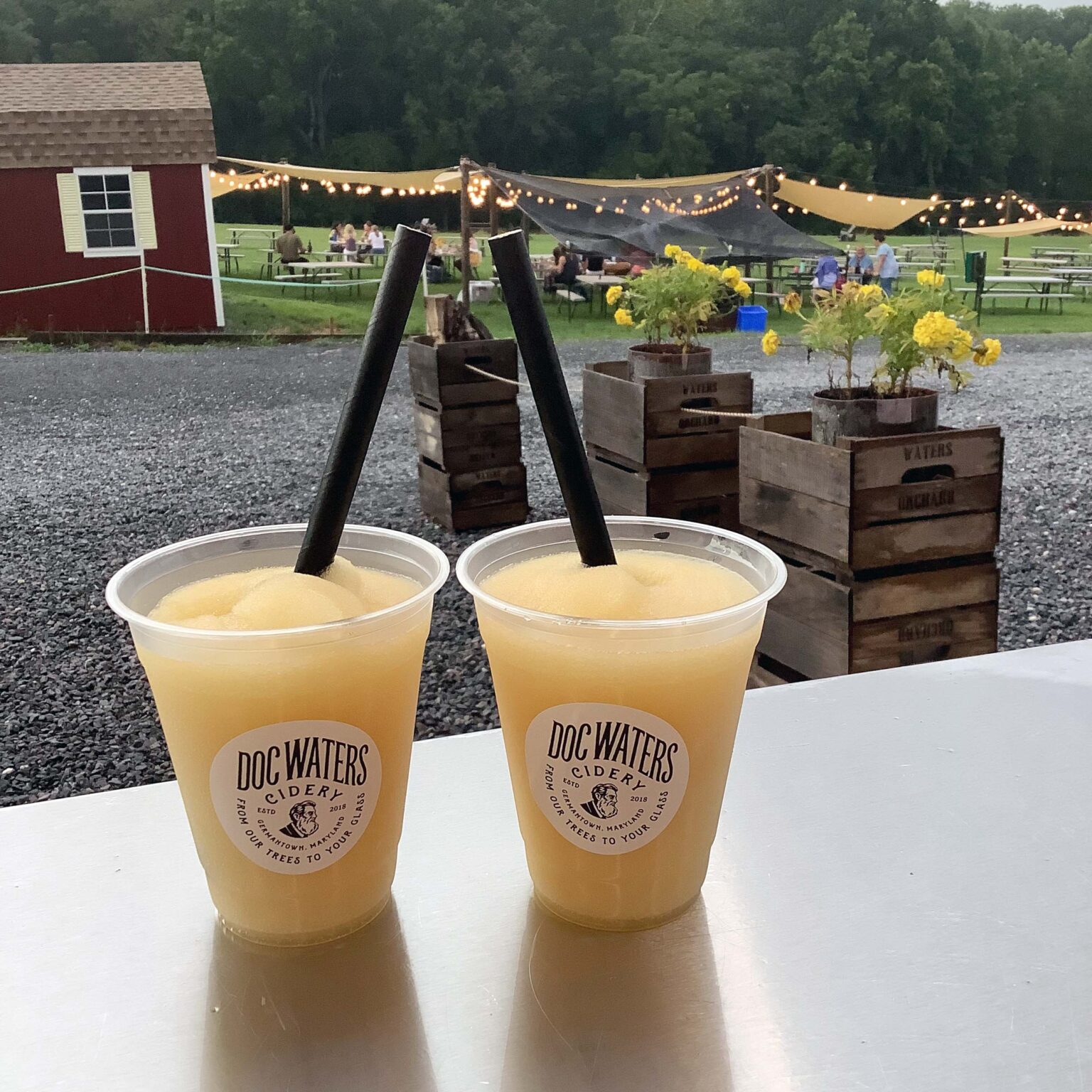 Visit The Cidery Doc Waters Cidery